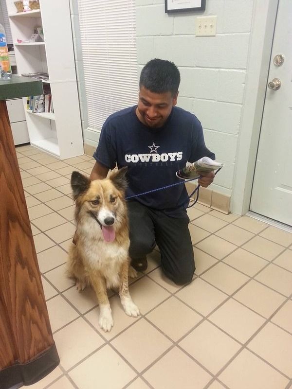 Man kneeling next to a dog at a vet's office. Dog is tan, white, and black. Man wears a Cowboys shirt and smiles.