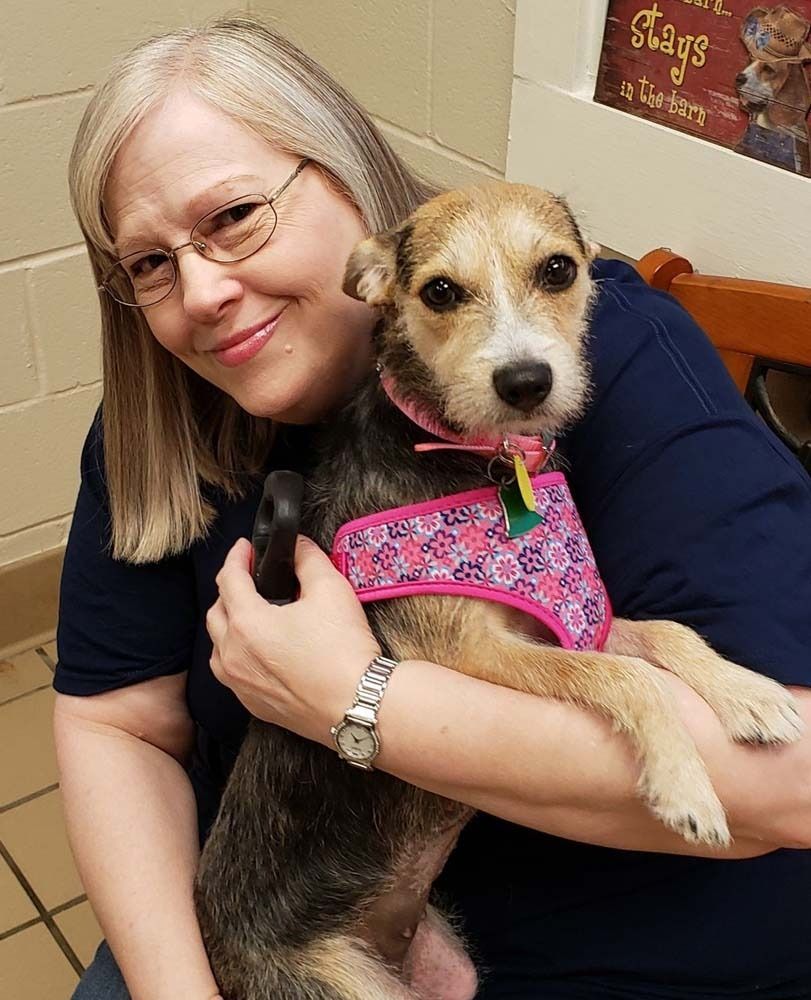 Woman holding a small dog with pink harness in a shelter.