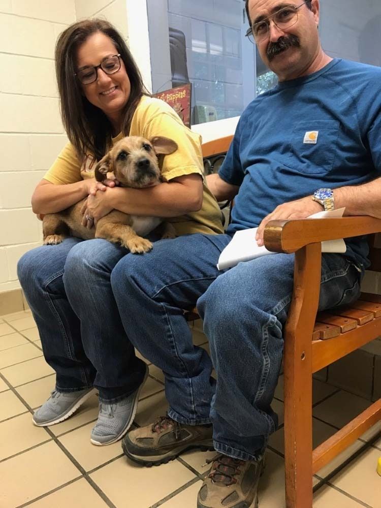 Couple seated, holding a puppy, smiling. They are in a room with a window.
