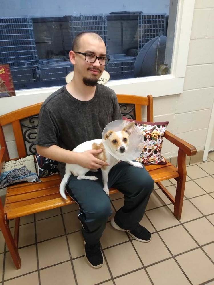 Man sits with small dog wearing a cone on a bench. They are indoors.