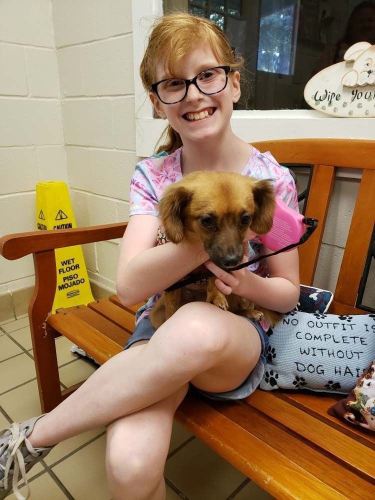 Girl with glasses smiles, holding a small brown dog on a bench at a shelter. Wet floor sign visible.