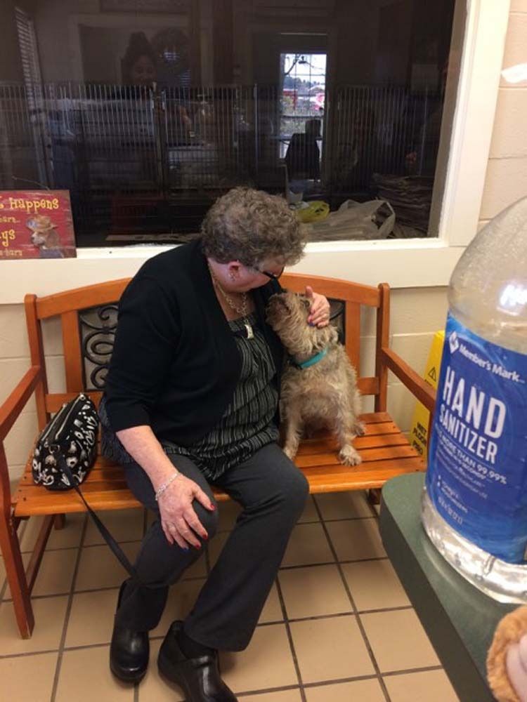 Woman petting a small dog on a bench inside, near a hand sanitizer dispenser.