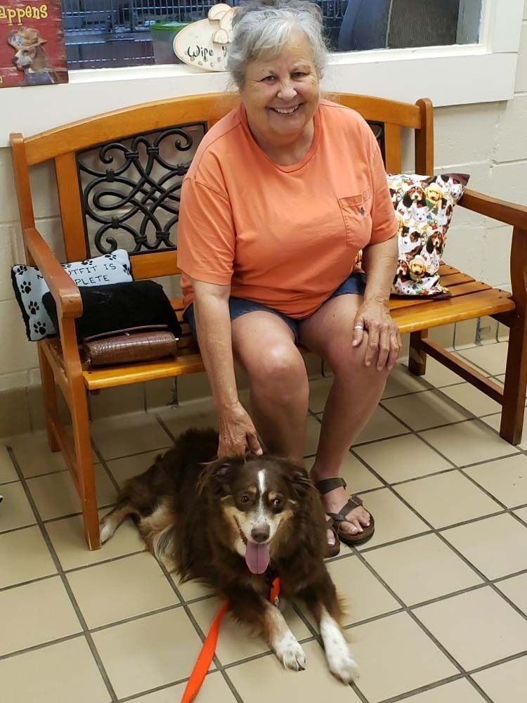 Woman petting a brown and white dog; both are sitting on a wooden bench inside a building.