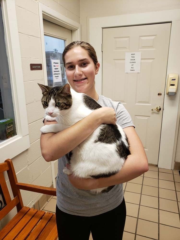 Woman holding a white and brown cat in an indoor setting. The woman is smiling.