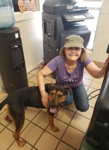 Woman in purple shirt kneels with a black and tan dog near a copier and water cooler.