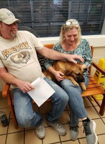 A couple sits on a bench, petting a brown dog in a shelter. Man holds paper.