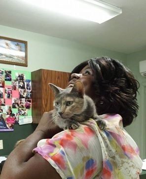 Woman holding a cat on her shoulder, both looking up; colorful shirt, office setting.