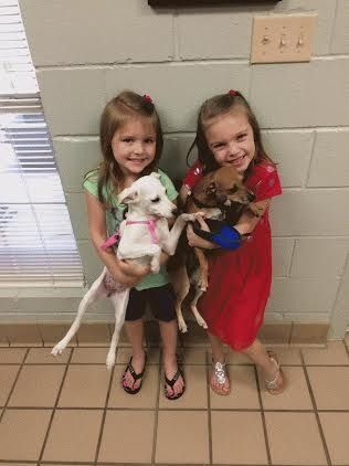 Two young girls smiling, holding small dogs in a brick-walled room.