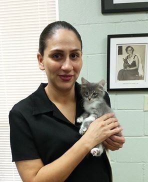 Woman holding a small gray kitten. She's in a room, smiling, with a black shirt. Picture frame on the wall.