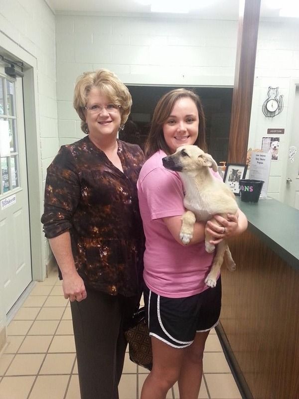 Woman, girl holding small dog, and another woman standing near a counter indoors.