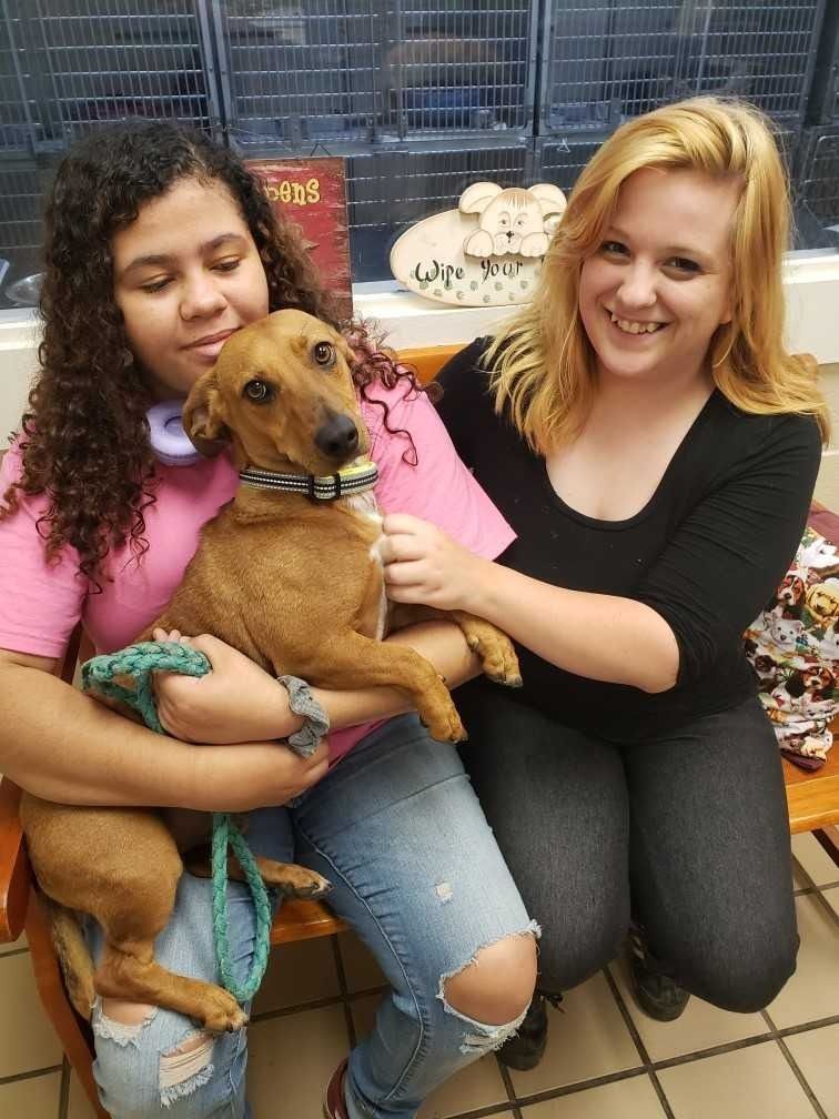 Two people sit with a brown dog in a shelter. One holds the dog, another smiles.