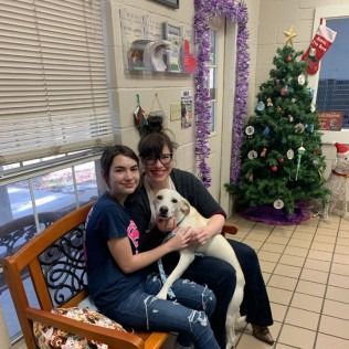 Two people and dog pose near a Christmas tree. One person pets the dog while seated on a bench.