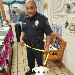 Police officer holding leash of white dog inside a decorated room.