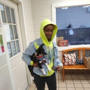 Person in a yellow hoodie holds a small dog indoors, smiling.