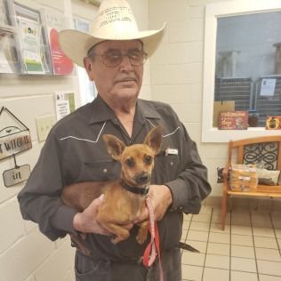 Man in cowboy hat holding a small brown dog in an indoor setting.