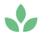 Clover icon - green