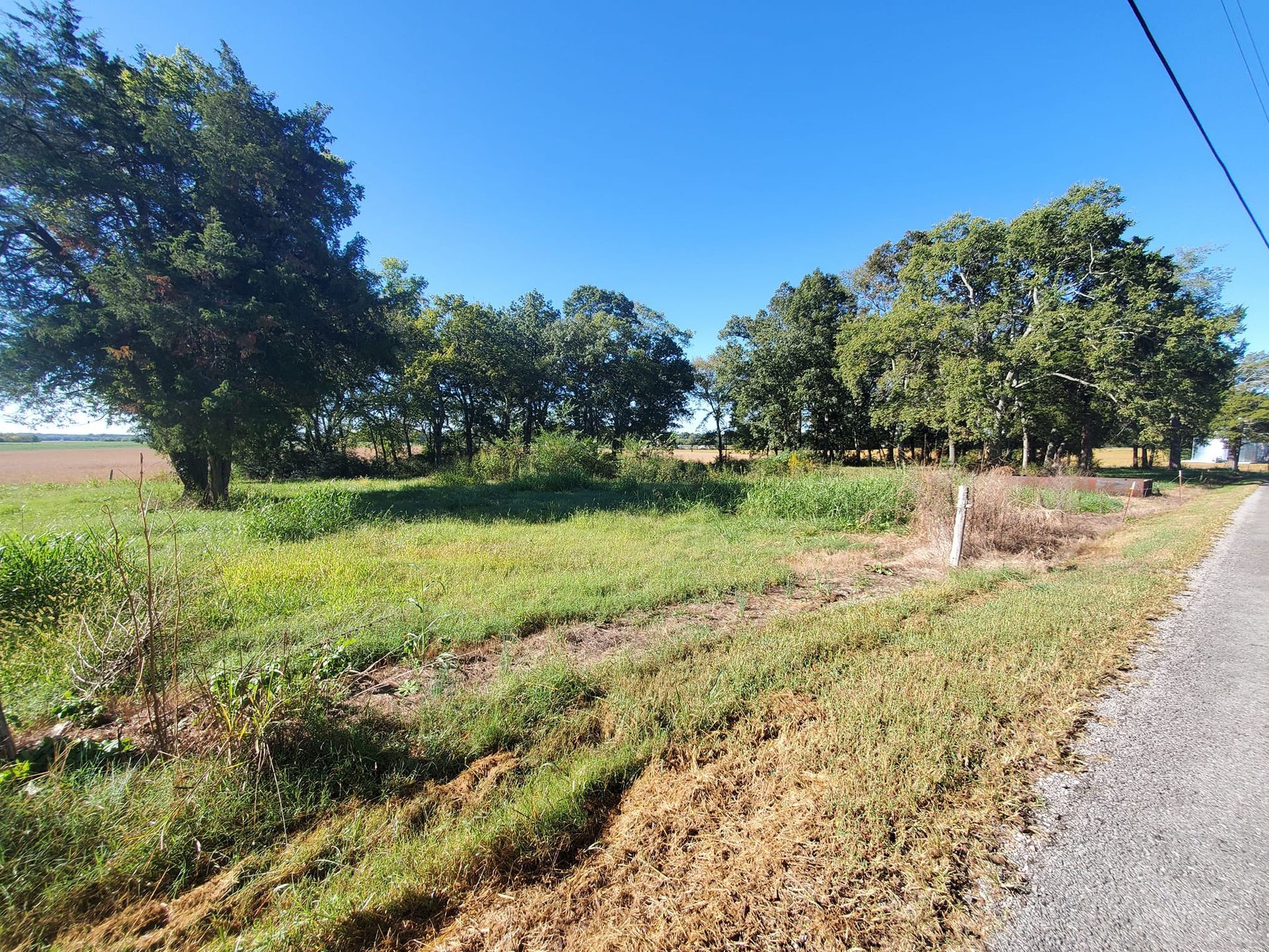 A road going through a grassy field with trees on the side of it.
