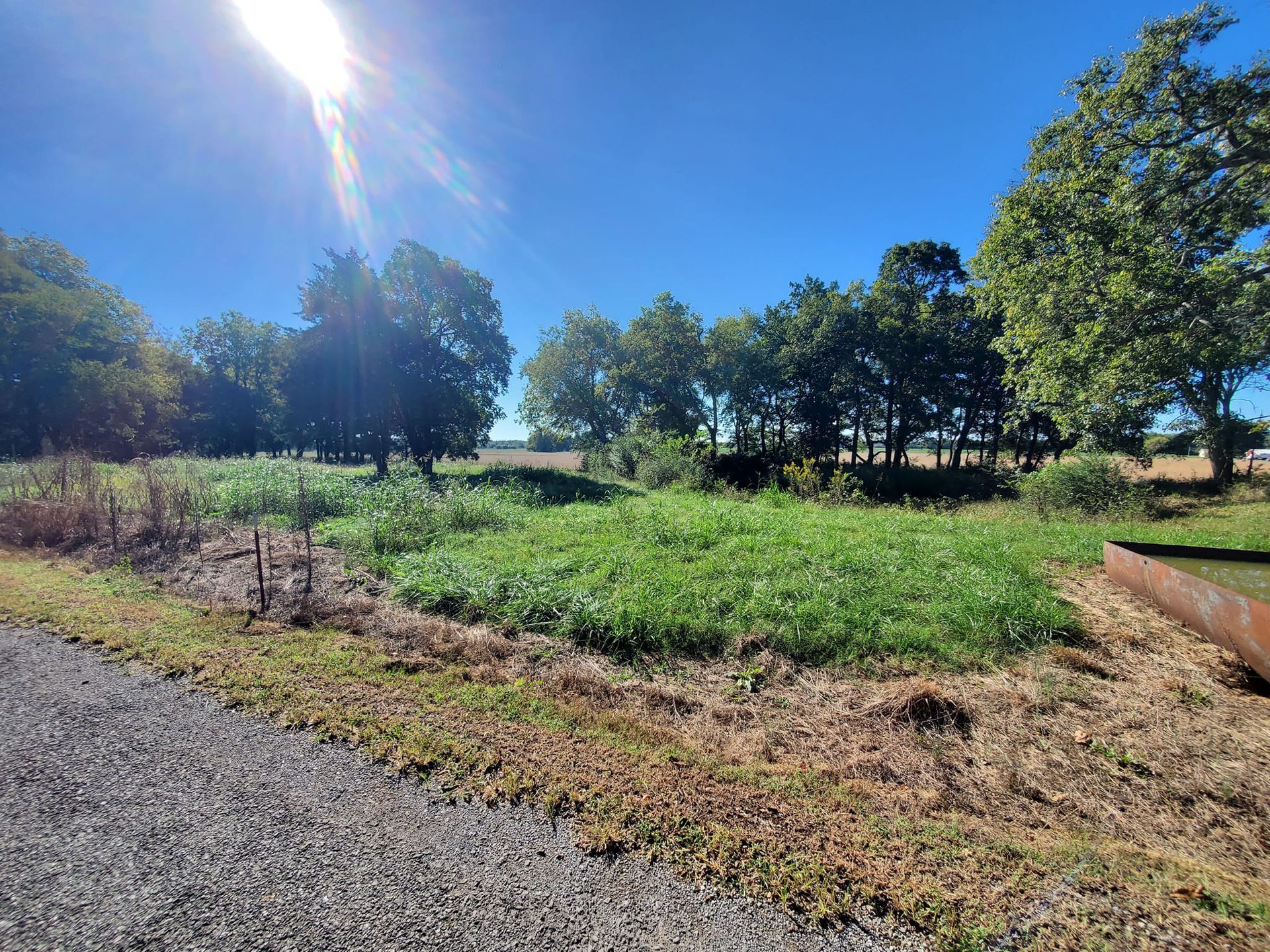 A dirt road going through a grassy field with trees in the background.