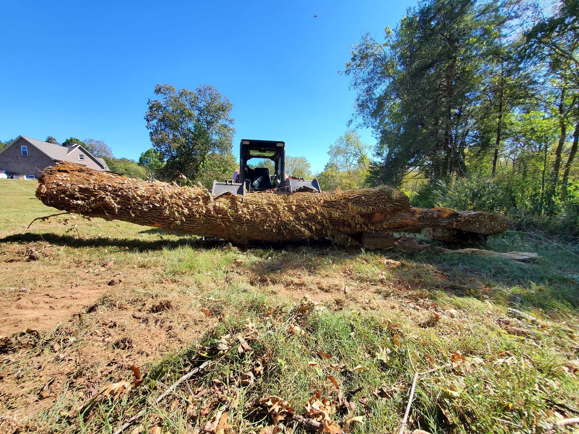 A large log is being lifted by a bulldozer in a field.