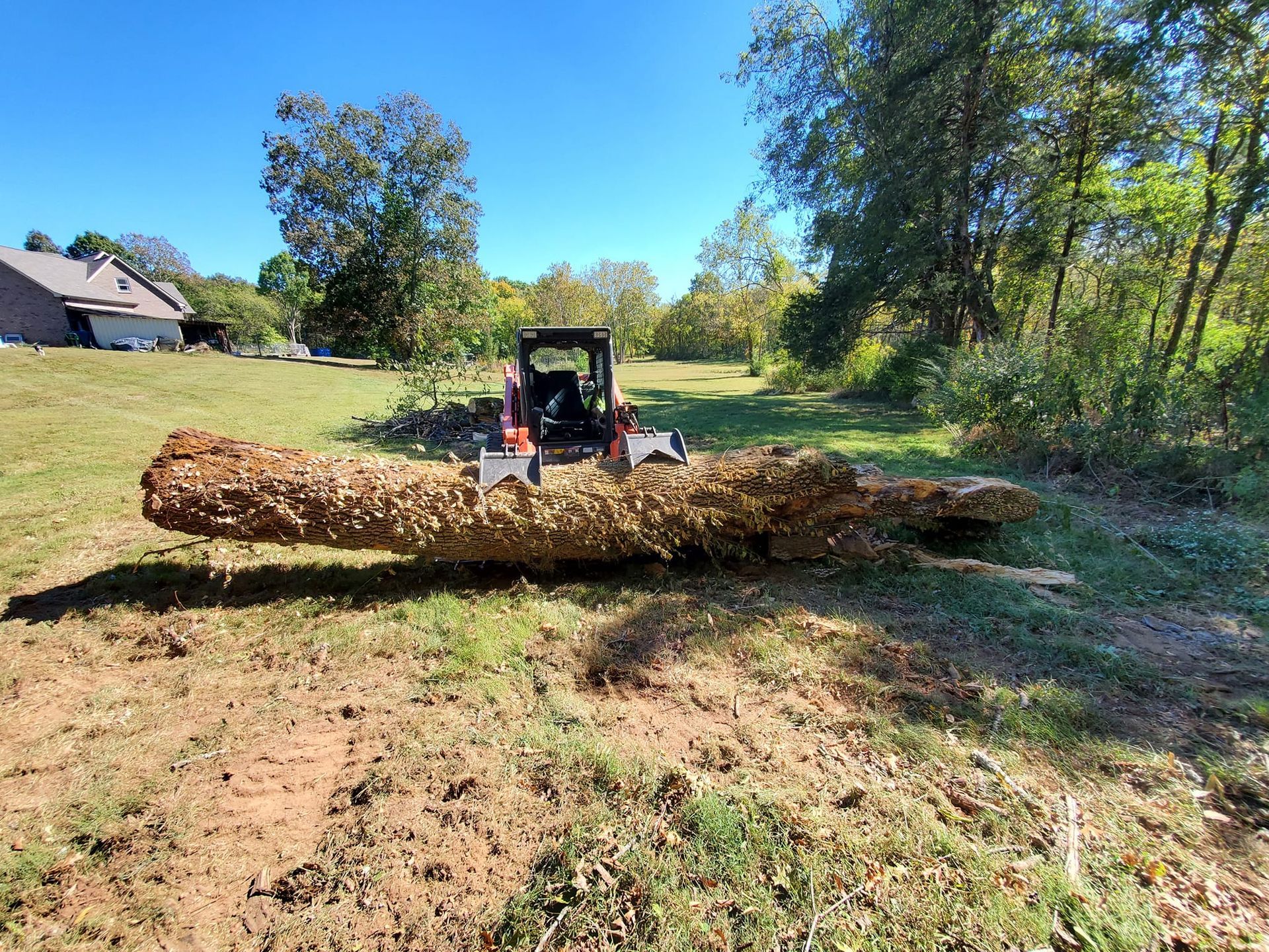 A tractor is carrying a large log in a field.