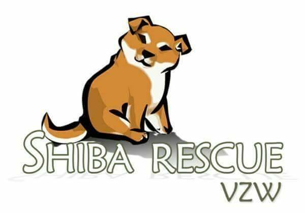 Shibarescue, Akitarescue, Tamara Mouthaan, Irma Bolijn, Akita spiegel van de ziel, Buddy voor mens en Akita, Hond in evenwicht, Terry Mehciz