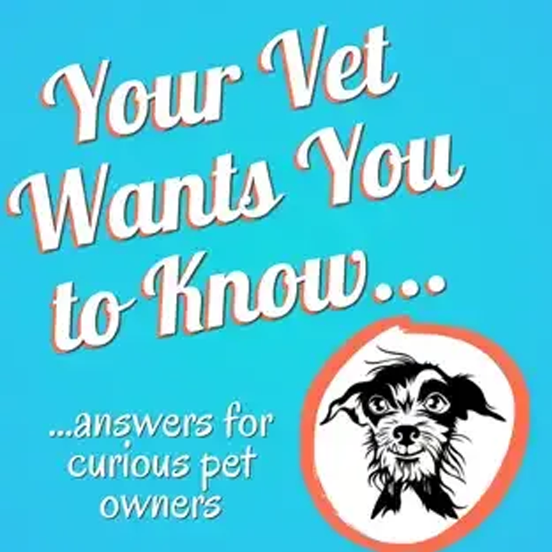 A poster that says your vet wants you to know