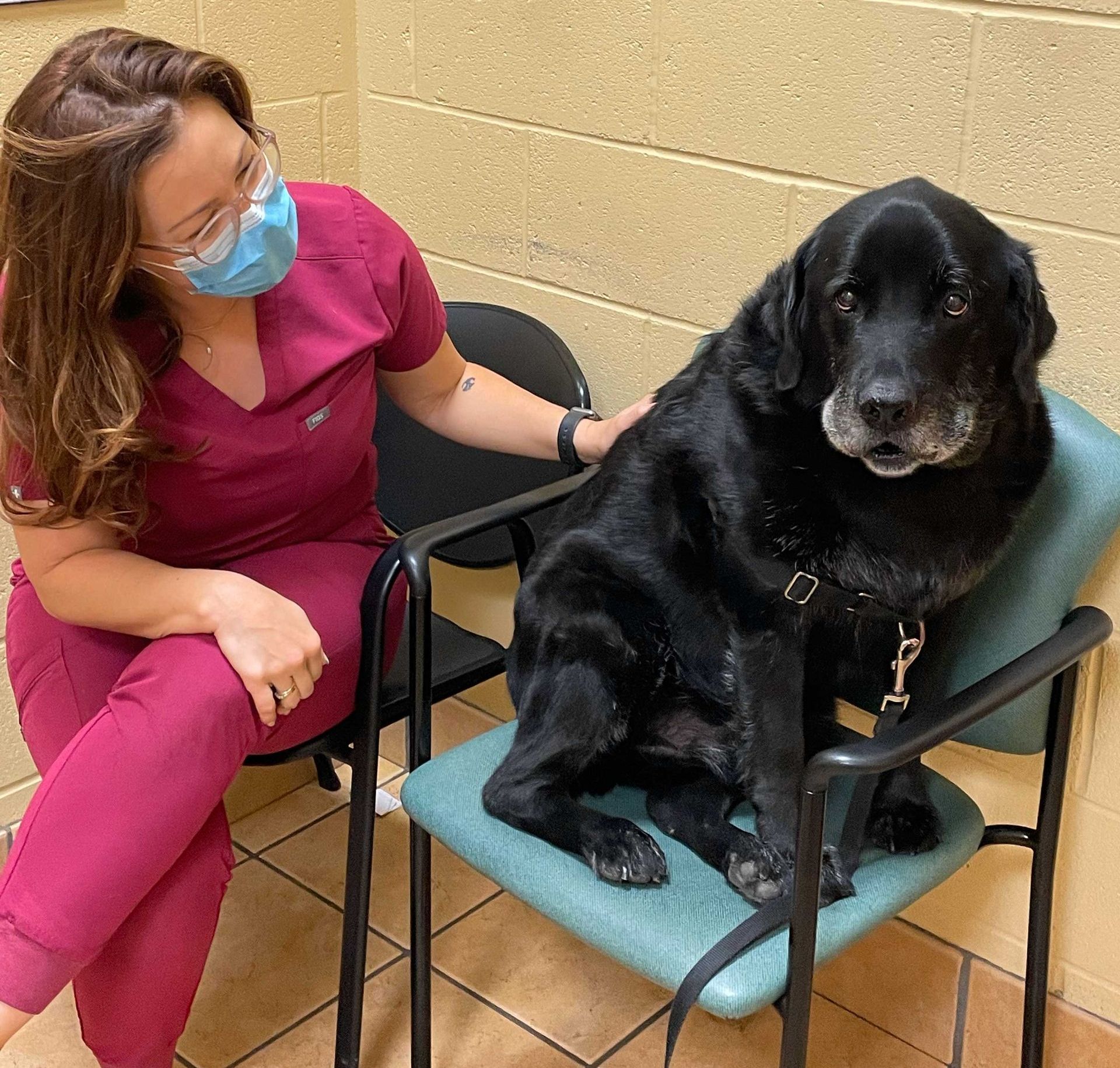 A woman wearing a mask is sitting next to a black dog in a chair