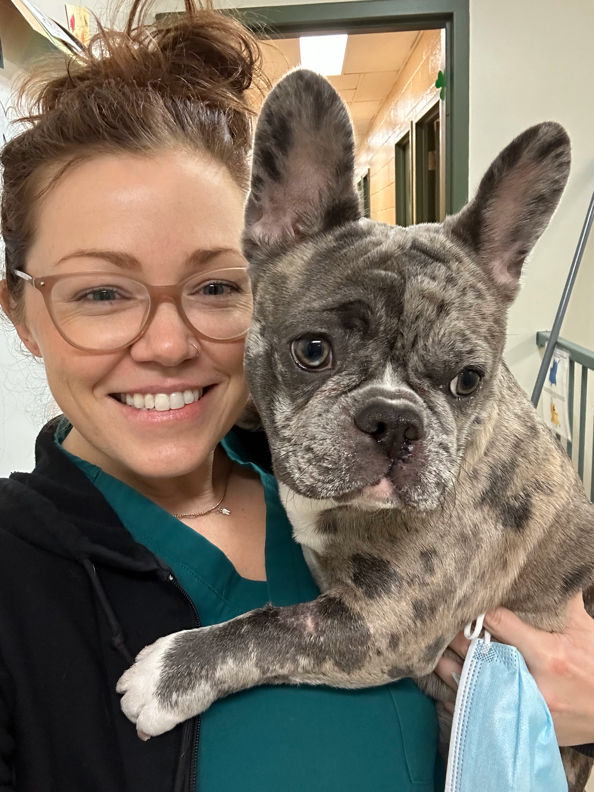 A woman is holding a french bulldog in her arms.