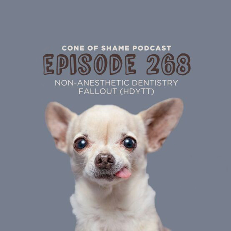 A dog with its tongue hanging out is on the cover of the cone of shame podcast