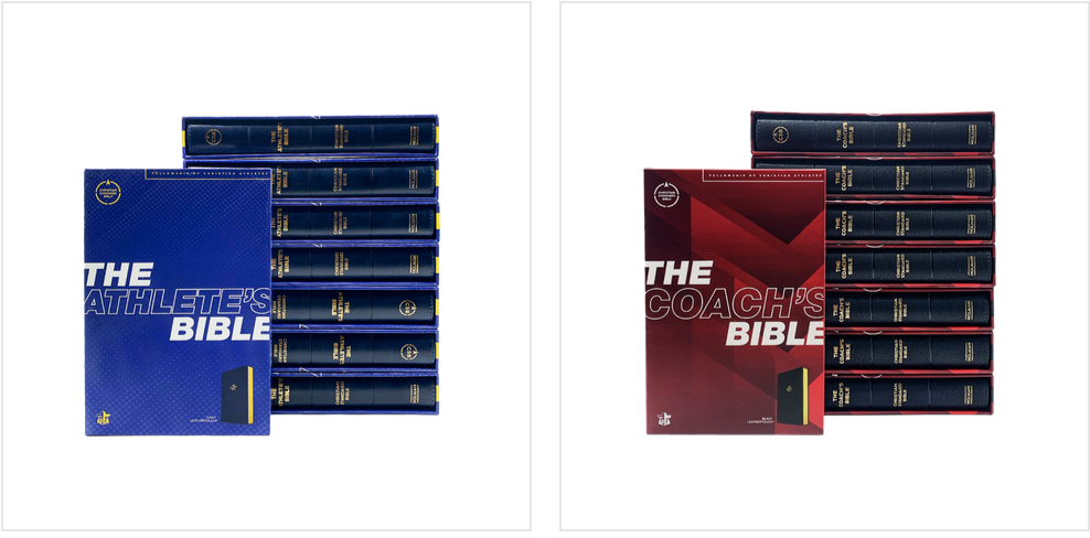 Bibles