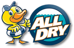Cartoon duck mascot beside blue &ldquo;ALL DRY&rdquo; logo on white background