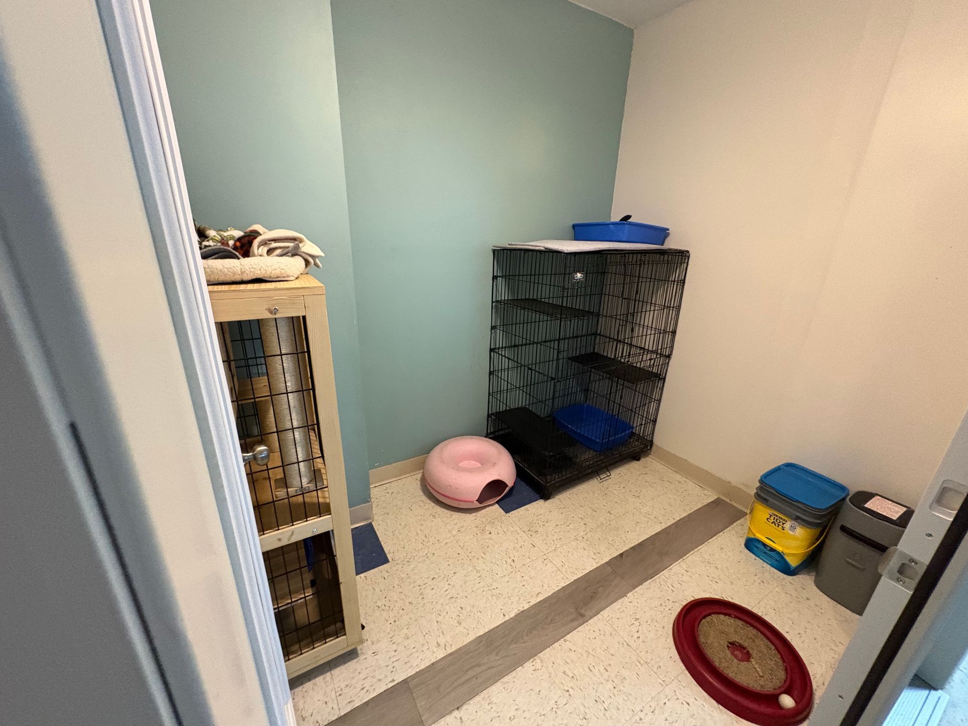 Golden Retriever sitting in a white bathtub, wet fur, smiling with mouth open.