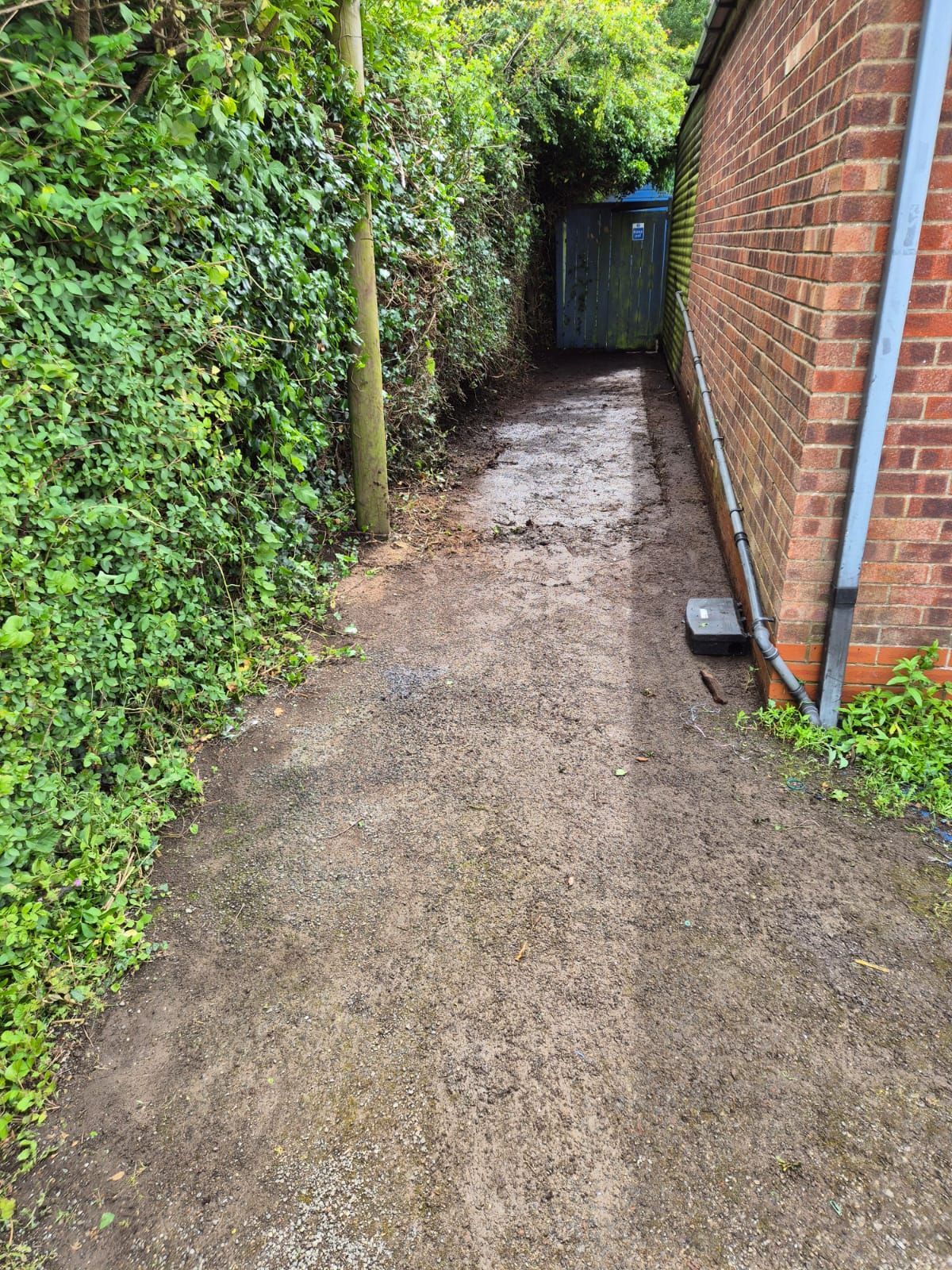 A dirt path leading to a brick building surrounded by trees and bushes.