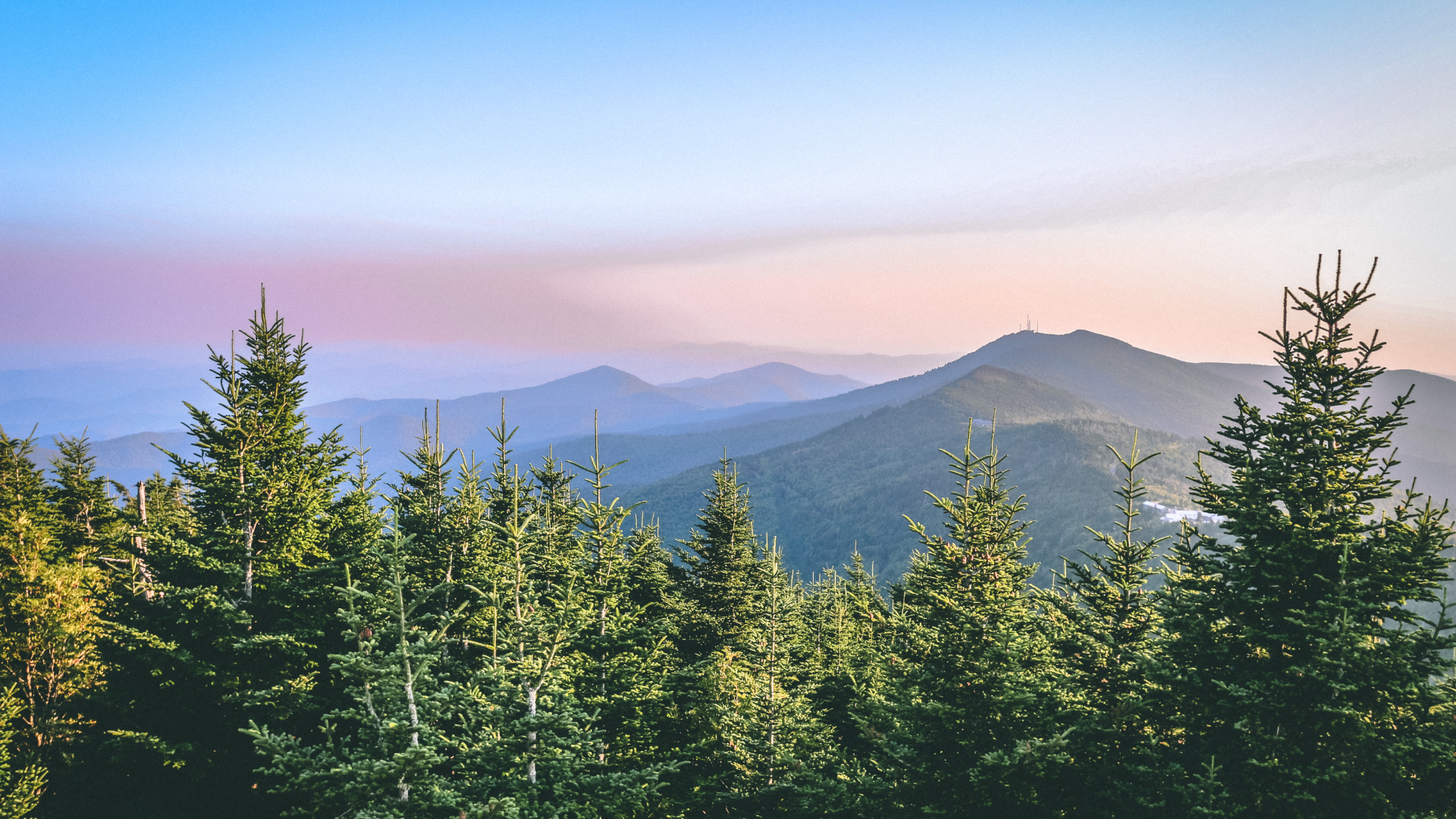Mountain range with evergreen trees in the foreground; blue and pink sky in the background.