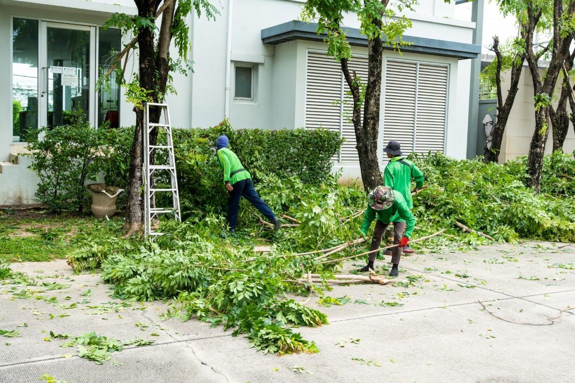 Three workers in green uniforms trim trees and hedges in front of a white building.