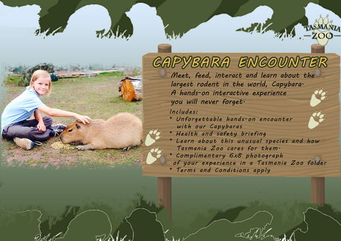 36++ Animal encounters tasmania information