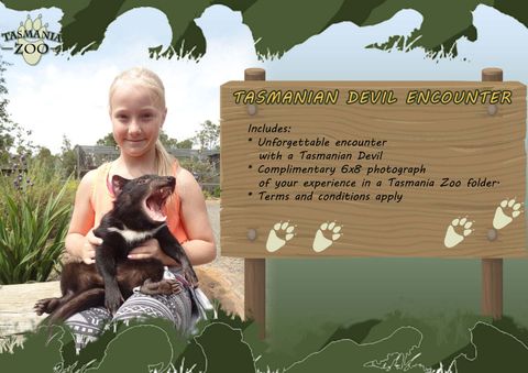 Tasmania Zoo Riverside Tas Animal Encounters
