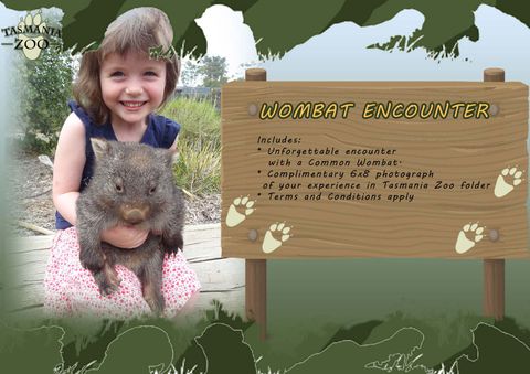 Tasmania Zoo Riverside Tas Animal Encounters