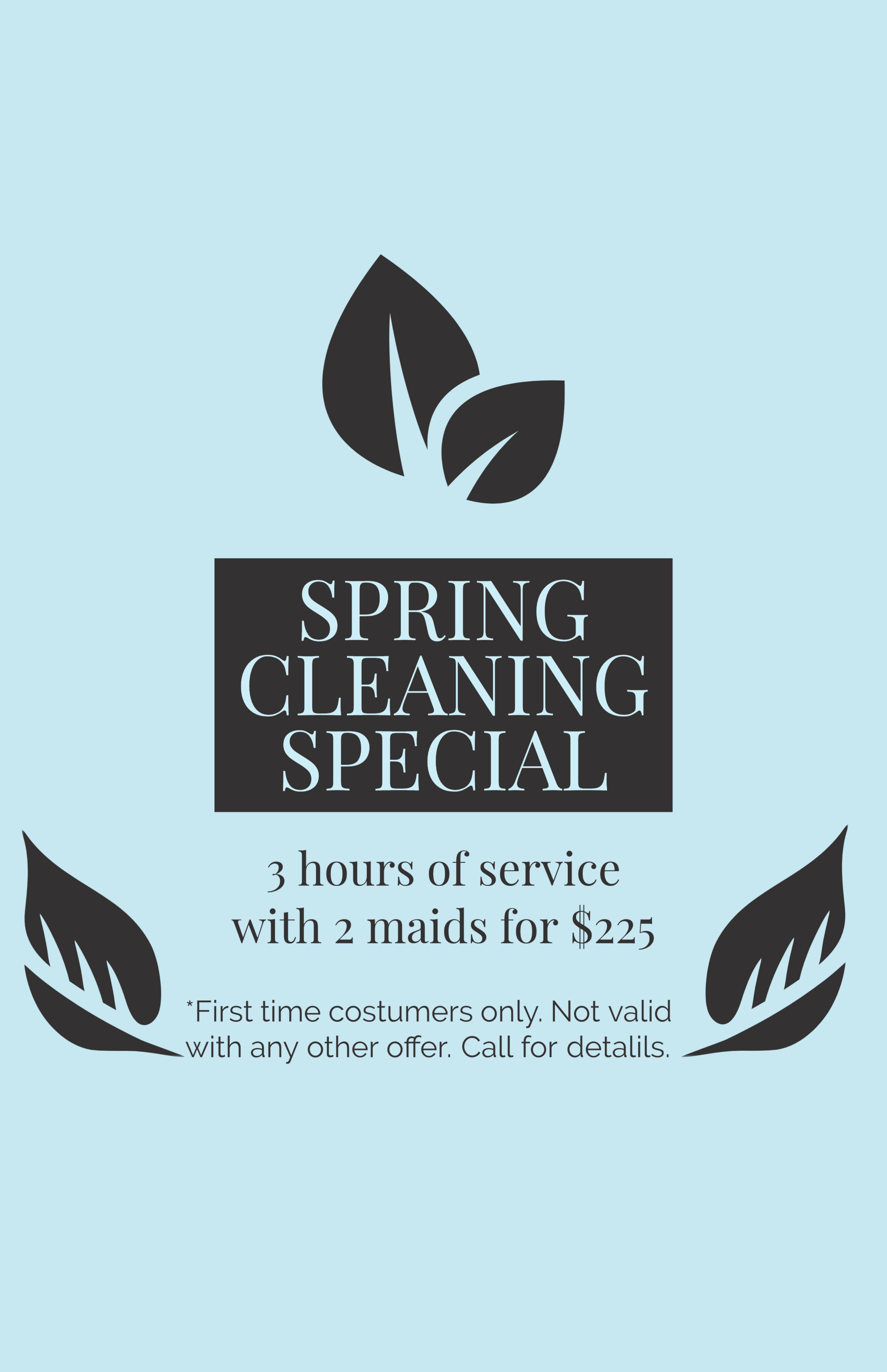 A spring cleaning special with 2 maids for $ 225