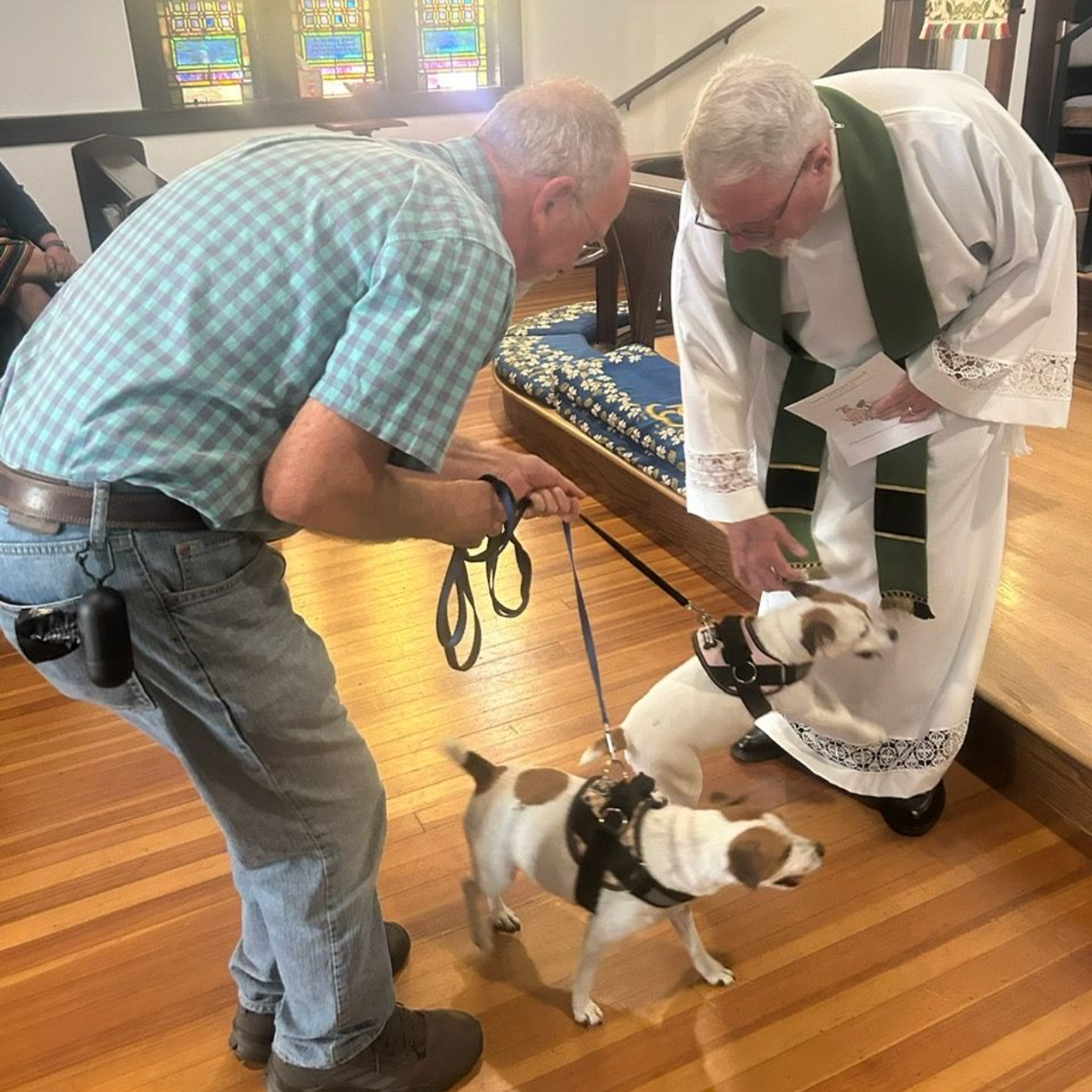 Two dogs are blessed by a priest in a church, with their owner present.