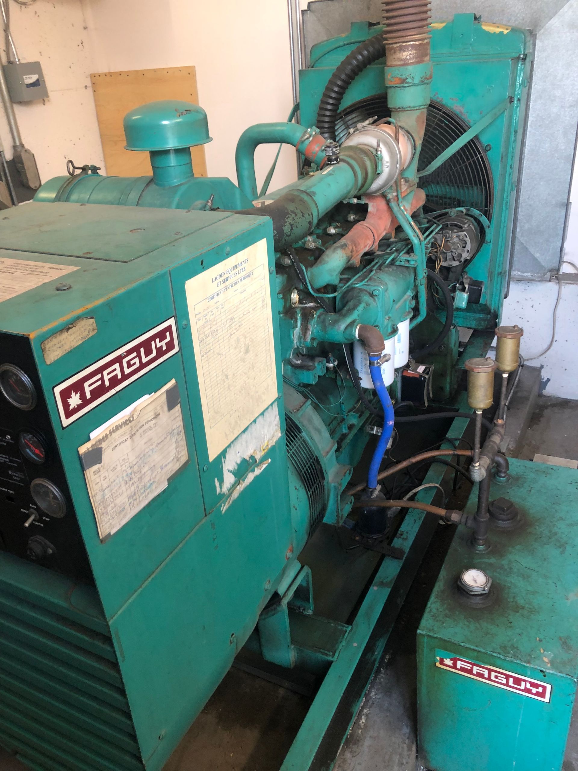 Générateur Pagli vert dans une buanderie.