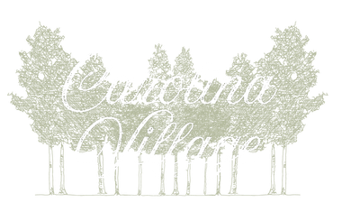 Carolina Village Apartments Logo