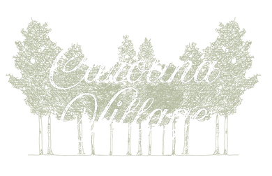 Carolina Village Apartments Logo