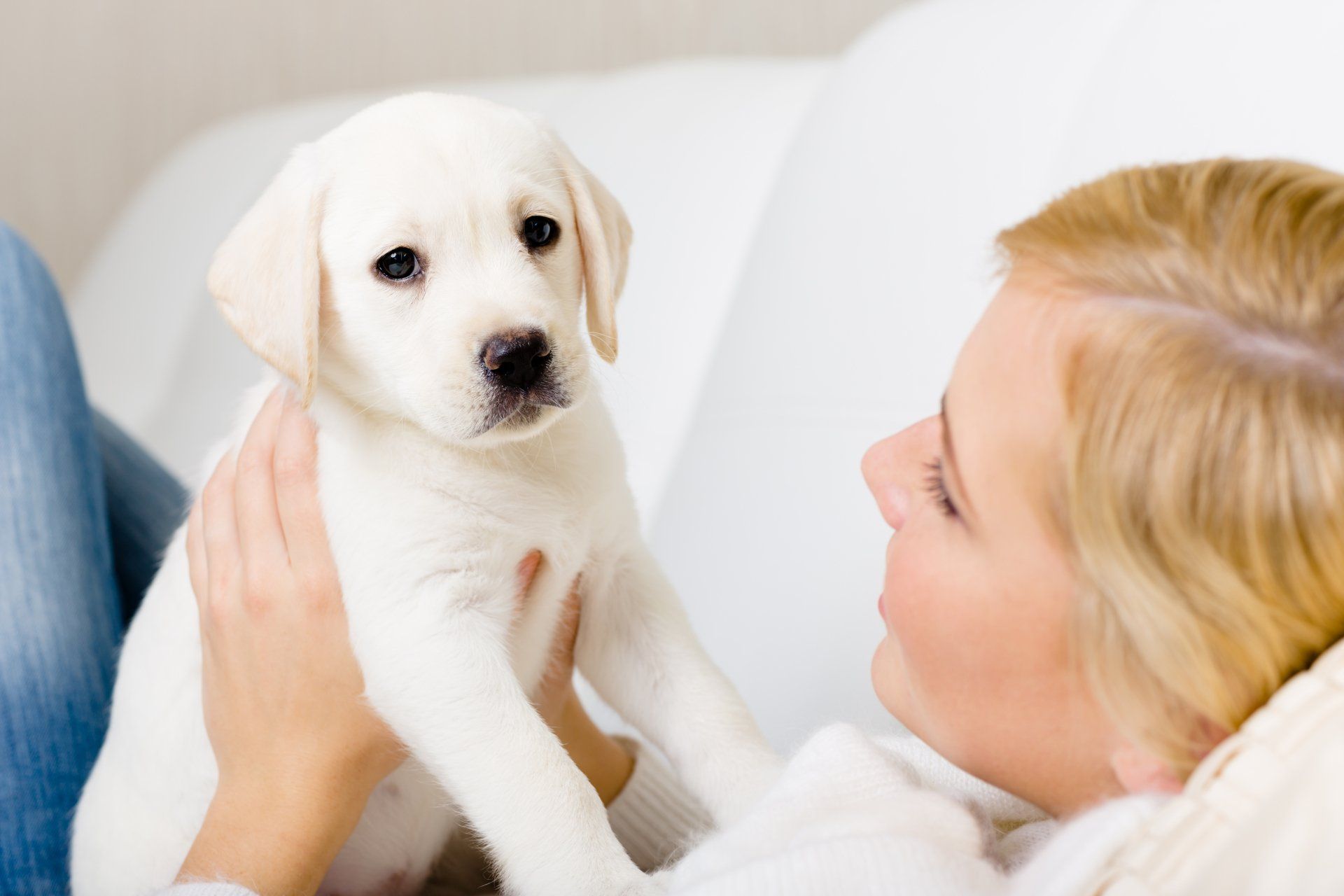 A woman is holding a puppy in her arms while sitting on a couch.