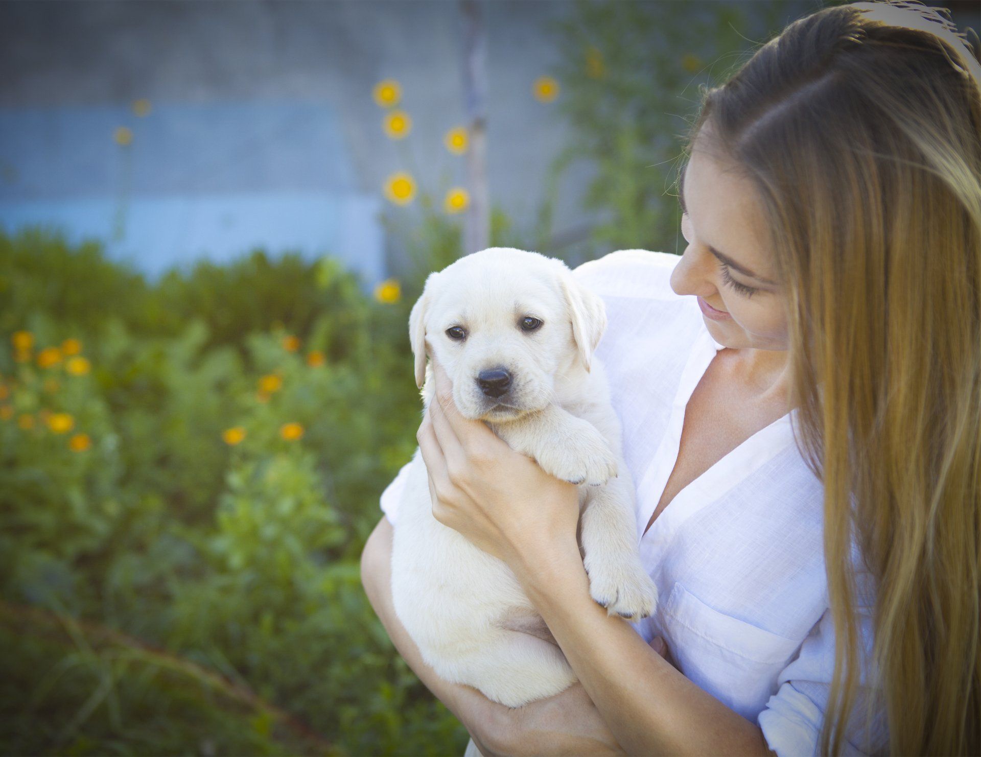 Blonde Beautiful Woman hugging Small White Golden Retriever