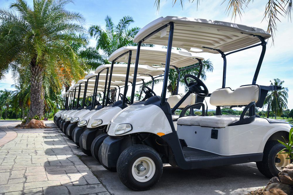 Golf Carts Lined Up With Palm Trees Behind — Delicious Entertainment In Mackay, QLD