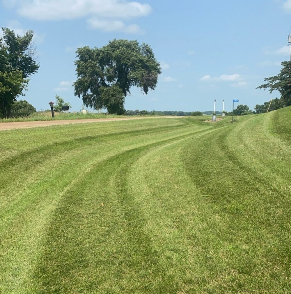 A lush green field with a tree in the background