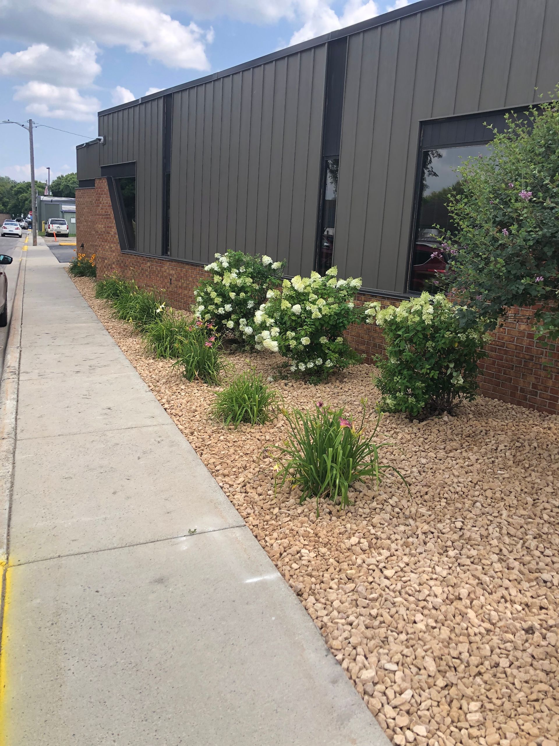 A sidewalk leading to a building with a lot of plants