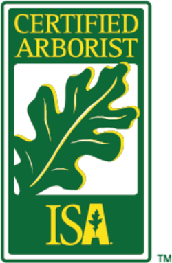 Certified Arborist ISA