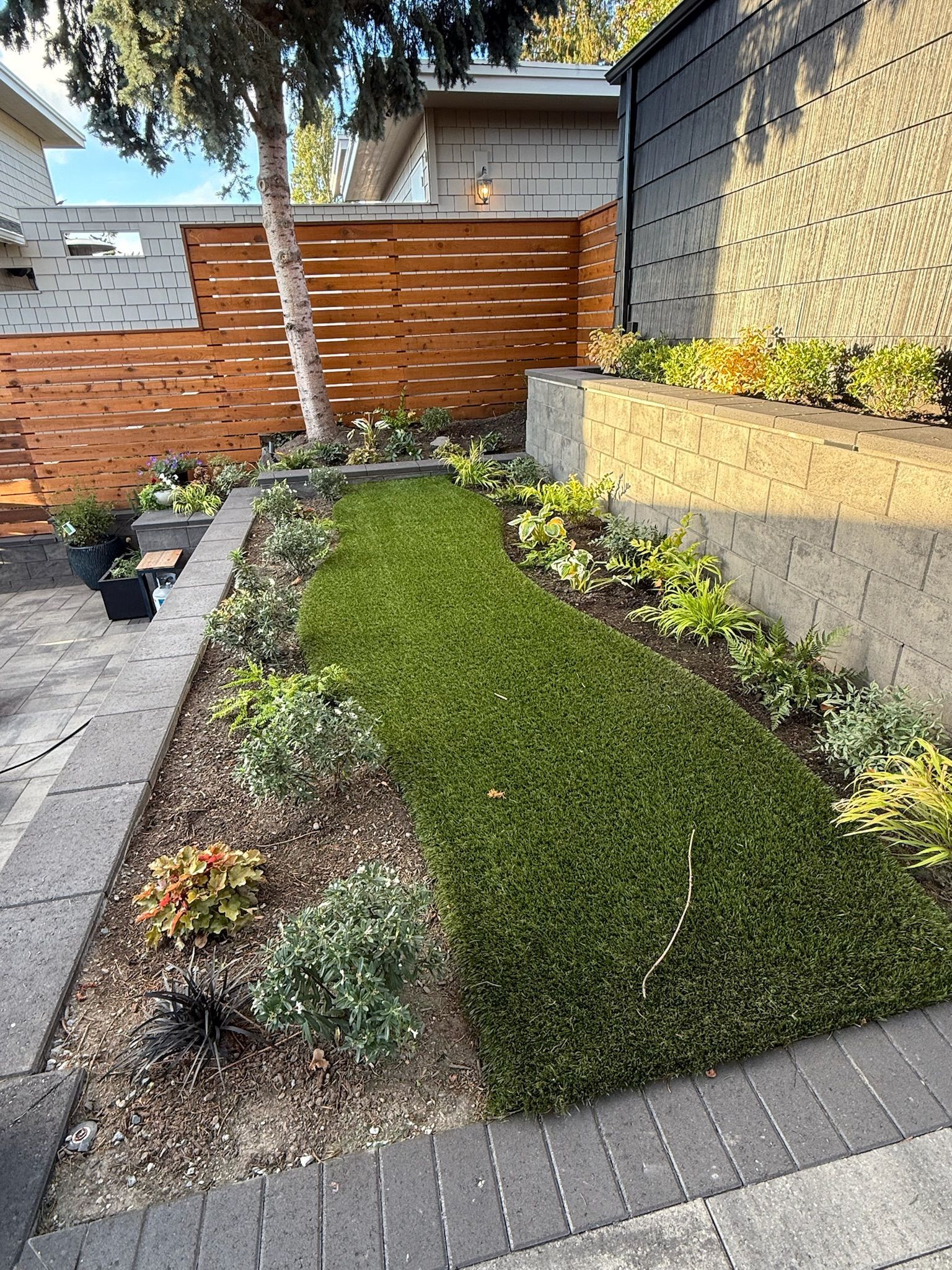 Modern backyard garden with a green lawn strip, raised planter beds, wood fence, and brick edging